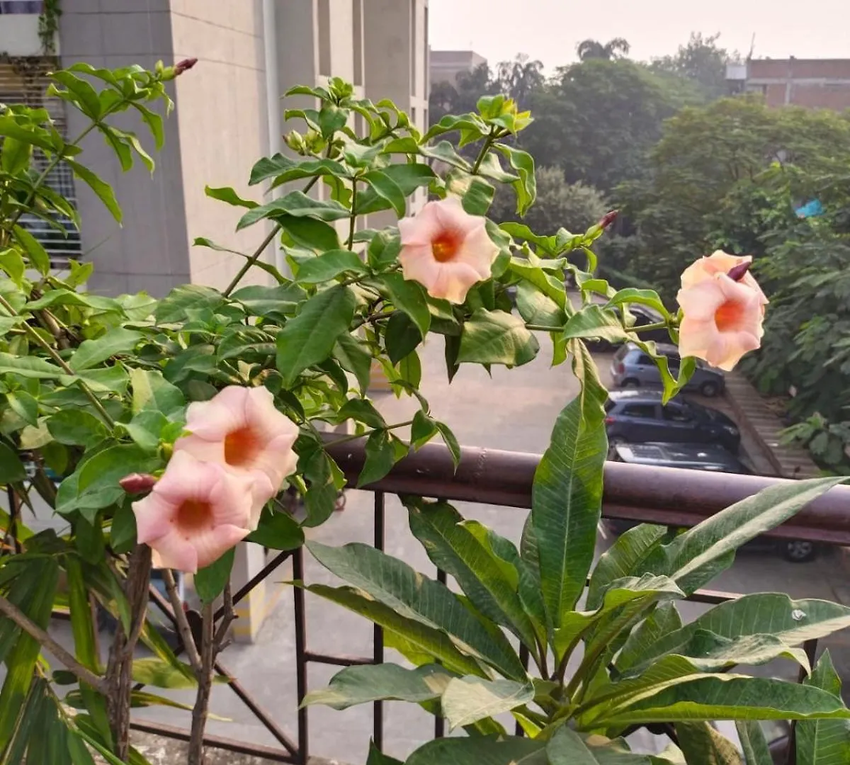 Banaras Home Stay Varanasi 0*,