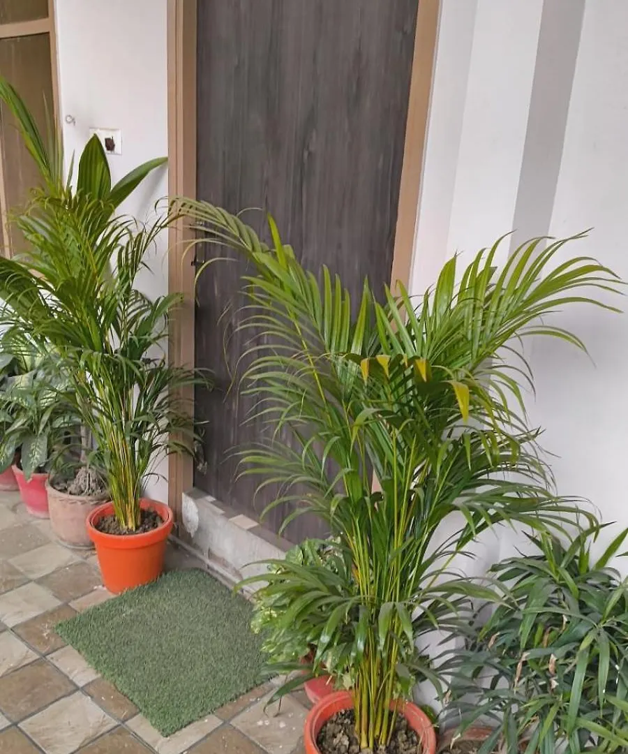 Banaras Home Stay Varanasi Índia